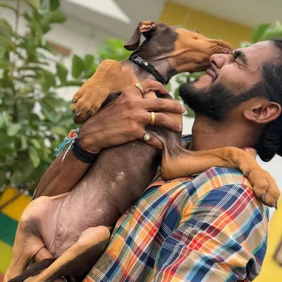 We live for these moments of pure affection. Building a trusting relationship is the first step in our grooming process, ensuring even young puppies feel safe and cherished with us.