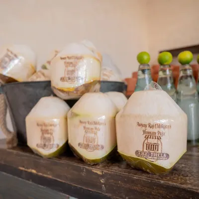 Custom-branded coconuts for a 'Homam Puja' event. This small detail adds a personalized and premium touch, making the welcome drink a memorable part of the experience.