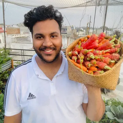 Look at this basket of fresh, organic carrots, pulled straight from my terrace garden. After some initial struggles, the final harvest was better than I could have imagined. This is the real reward of not giving up.