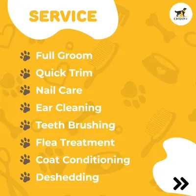 Here's a look at the services I offer. Whether you need a full groom, a quick trim, or specialized care like de-shedding and flea treatments, I've got you covered right at your doorstep.