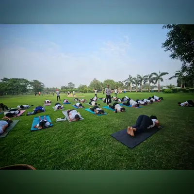 A wide view of our large outdoor yoga session, with students practicing Balasana (Child's Pose) together on the grass.