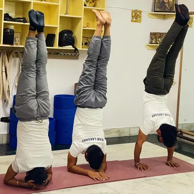 Here we see three powerful inversions side-by-side: Sirsasana (Headstand), Pincha Mayurasana (Forearm Stand), and Adho Mukha Vrksasana (Handstand). Each pose builds a unique combination of strength, balance, and mental focus.