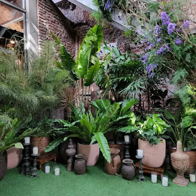 To build the wild forest theme for the Arpita Mehta and Kunal Rawal bash, we layered dozens of potted plants against an exposed brick wall. We mixed different heights and textures, using large Bird's Nest Ferns, wispy foliage, and touches of purple statice flowers to create a dense, natural look.