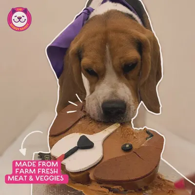 We use farm-fresh meat and veggies in our cakes. This graphic highlights our commitment to real, wholesome ingredients for your pet's health.