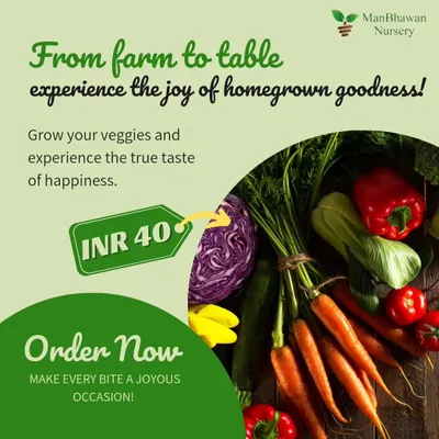 From farm to table, experience the joy of homegrown goodness. We offer premium vegetable seeds starting at just ₹40. Grow your own veggies and experience the true taste of happiness.