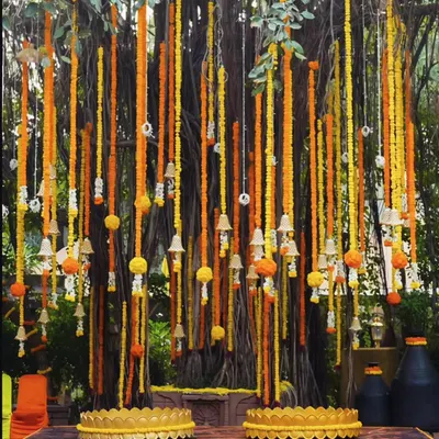 I love using natural spaces to create something truly special. For this outdoor Haldi, I used long, hanging strings of fresh marigolds and temple bells from a large tree to create a breathtaking backdrop that felt both grand and organic.