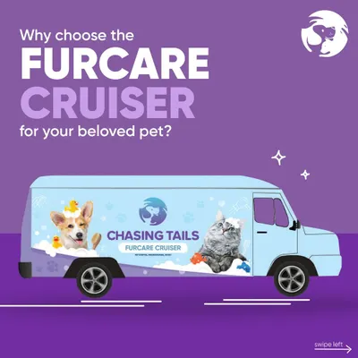The Furcare Cruiser is my solution for modern pet parents. This illustration shows my commitment to bringing a complete, professional grooming service directly to you, saving you time and keeping your pet comfortable.