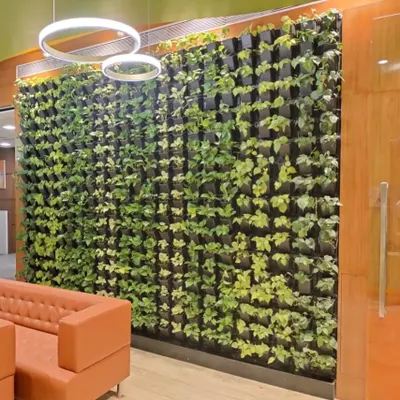 A living green wall acts as a stunning feature in this modern corporate office lobby in Andheri. It provides a natural, calming element to the workspace for employees and clients.