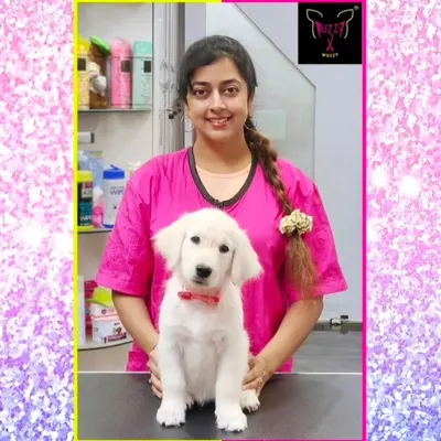 This little Golden Retriever puppy is having his first introduction to the grooming table. I keep these sessions short and sweet to make sure he feels secure and happy.