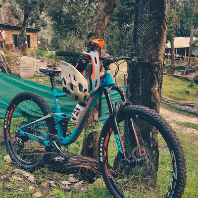 A moment of peace on the trail. A well-loved bike resting against a tree, ready for the next adventure. This is the simple joy of mountain biking in the heart of nature.