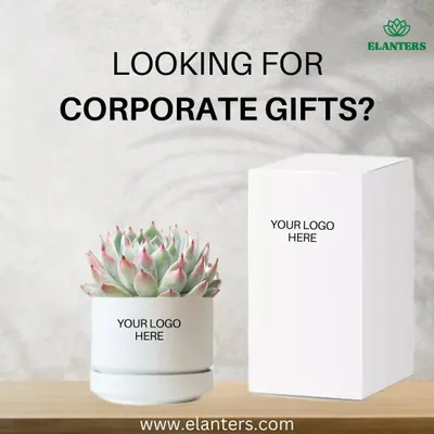 Looking for unique corporate gifts? I offer customized plant gifts with your company logo on the pot and packaging. It's a memorable and sustainable gift for clients and employees.