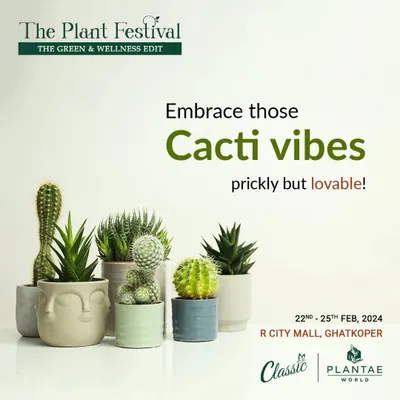 Embrace the unique beauty of cacti and other succulents. At our festival, you can explore these resilient and lovable plants and learn more about their care.