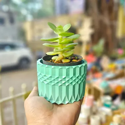 My eco-resin planters are perfect for adding a touch of green to your desk or balcony. This one, in a beautiful mint green, is waterproof and has a drainage hole for happy plants.