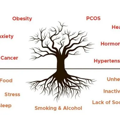 This visual illustrates the root causes of lifestyle diseases. It shows how factors like stress, poor diet, and inactivity are the roots of problems like heart disease, diabetes, and hormonal imbalance.