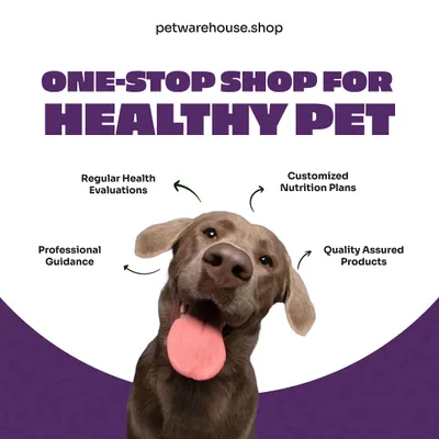 Our goal is to be your one-stop shop for a healthy pet. We provide professional guidance, regular health evaluations, customized nutrition plans, and quality-assured products to keep your pet thriving.