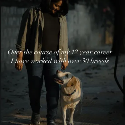 Over my 12-year career, I've had the privilege of working with over 50 different breeds. This experience has taught me the importance of a holistic, breed-specific approach to training.