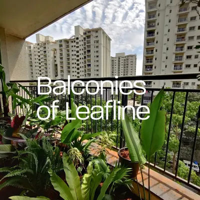 This balcony makeover showcases how a curated selection of tropical plants like ferns and birds of paradise can create a dense, jungle-like feel, offering a private escape with a stunning city view.