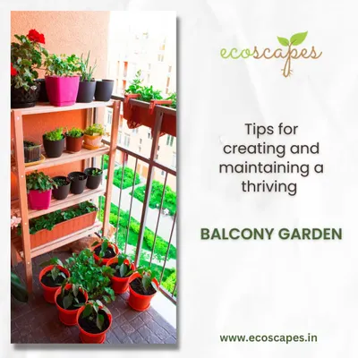 A well-organized balcony garden is achievable even in small spaces. We can help you set up shelving and select pots to maximize your growing area for flowers, herbs, and other plants.