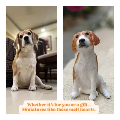 From a photo to a forever keepsake. This custom Beagle sculpture was made to capture the signature head-tilt and curious expression of a beloved pet. I focus on getting these small, characterful details just right.