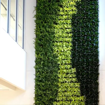 A close-up of a healthy indoor vertical garden. I use plants like these that are known to purify the air and thrive in indoor lighting conditions.