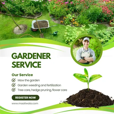 I offer a full range of gardener services to keep your green spaces in top shape. My work includes regular lawn mowing, thorough garden weeding and fertilization, and expert care for trees, hedges, and flowers. This ensures your garden stays healthy and beautiful all year round.