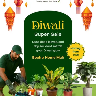 Don't let dust, dead leaves, and dry soil dim your Diwali glow. Our Home Mali service is perfect for getting your plants festive-ready, with on-demand booking starting from ₹199.
