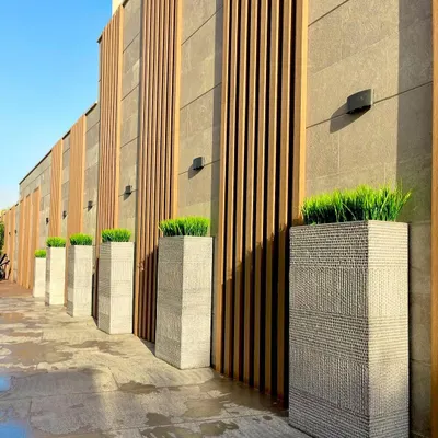 This image showcases a captive landscape design where tall, modern planters with vibrant green grass create a clean, elegant border against a wood-paneled wall.