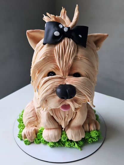 Custom cakes by Sampada