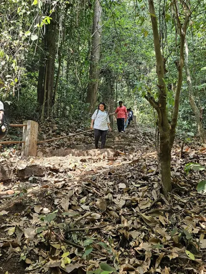 Trekkers walking on a well-defined path through the forest during the dry season.