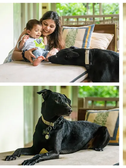 A collage featuring a mother and son interacting with their gentle black indie dog, Rio, during a relaxed outdoor session.