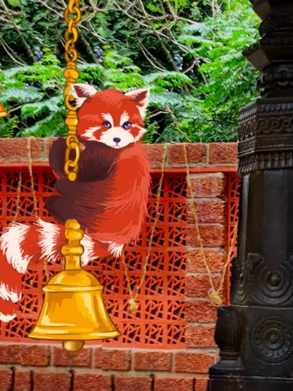 What if a red panda crashed a South Indian wedding? I had fun imagining this little guy swinging from the temple bells in this photo illustration.