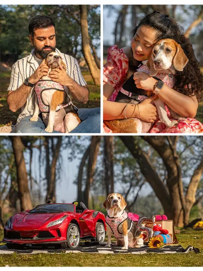 A collage celebrating Rrari the beagle's 5th birthday. Despite her cancer diagnosis, the day was filled with love, cuddles, and a fantastic Ferrari-themed setup.