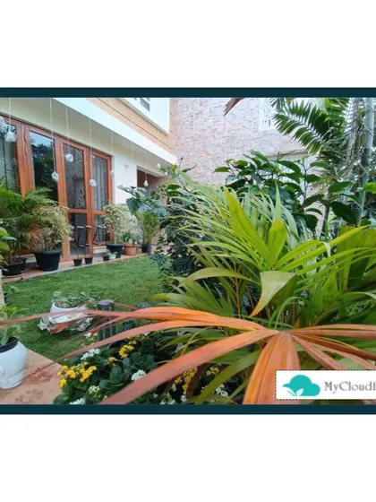 This garden showcases a more natural, relaxed style. A variety of potted and in-ground plants are arranged to create a lush, layered look that feels effortlessly beautiful and full of life.