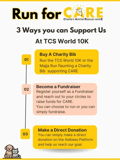 Matty reminds you to join us for the TCS World 10K and be a voice for the animals. This infographic shows the different ways you can support our cause through this amazing city-wide event.