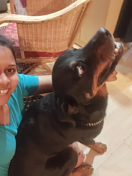 This is what trust looks like. Simba, my Rottweiler, is letting me trim his nails without a muzzle or any restraint. Building this level of trust is the first and most important step in any canine training or behavior rehabilitation, especially for dogs with a history of fear or aggression.
