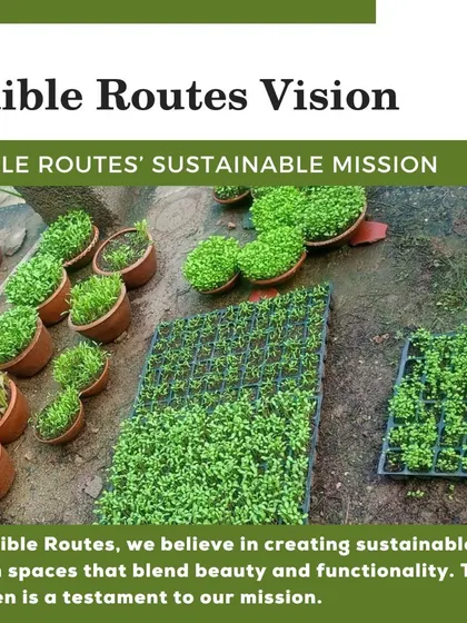 A look at the thriving microgreens at our Raas Devigarh rooftop garden project. This is our sustainable mission in action: creating green spaces that are both beautiful and functional.