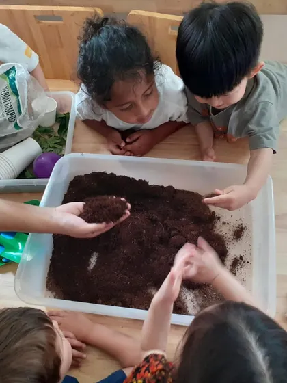 A group of children gathers around a tray of soil, examining it closely. This hands-on exploration is part of a larger project on sustainability and understanding where our food comes from.
