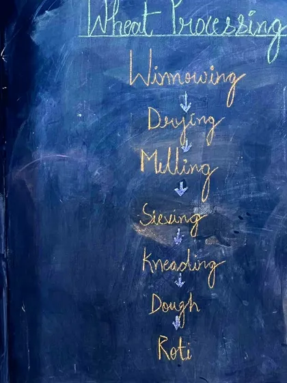 This diagram shows the steps of wheat processing. Breaking down a complex process into simple steps helps children understand where their food comes from.
