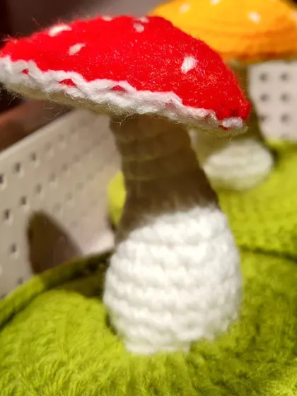 A close-up of the red mushroom, showing the stem and cap detail.