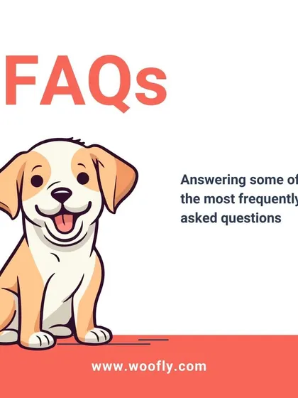 Here are some answers to frequently asked questions to help you understand my service better.