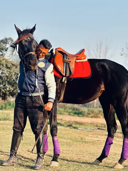 A moment of affection with one of my black horses. I encourage riders to spend time building a relationship with their equine partners outside of training.