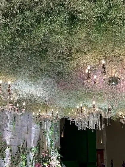 A detailed shot of the mandap ceiling, where a dense cloud of baby's breath is interspersed with the warm light of many elegant chandeliers.