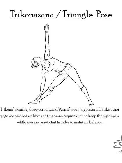 Trikonasana (Triangle Pose) strengthens the legs, stretches the groins and hamstrings, and stimulates abdominal organs, improving digestion.
