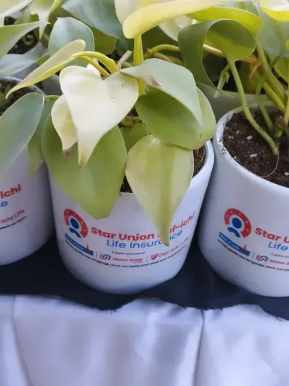 A closer look at the branding detail on the 3.5-inch cylindrical ceramic pots for the Star Union Dai-ichi Life Insurance order. Each pot clearly displays the company logo for a professional finish.
