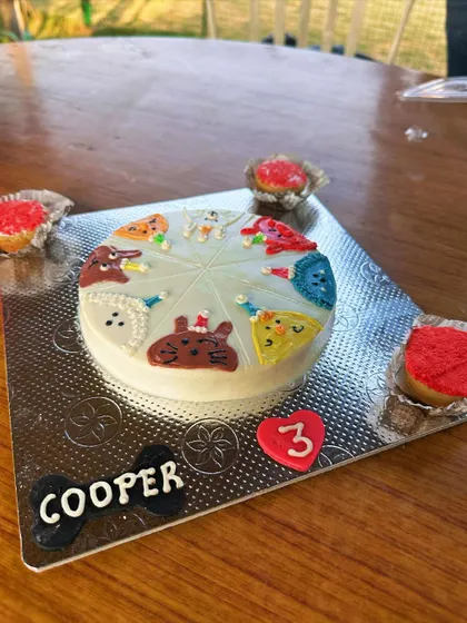 A detailed look at a beautiful, professionally made birthday cake for a dog's party at our ranch.