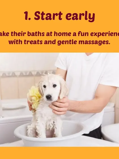 Tip 1: Start early. Make bath time at home a fun and positive experience for your puppy with treats and gentle handling.