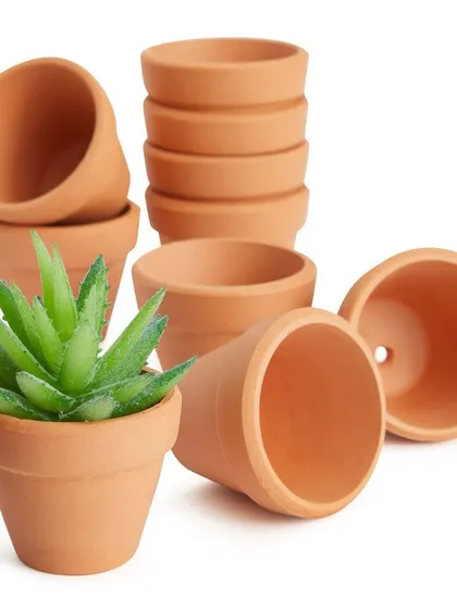 Our mini terracotta pots are a classic choice for party favors. They are earthy, affordable, and the perfect size for small succulents or other starter plants.