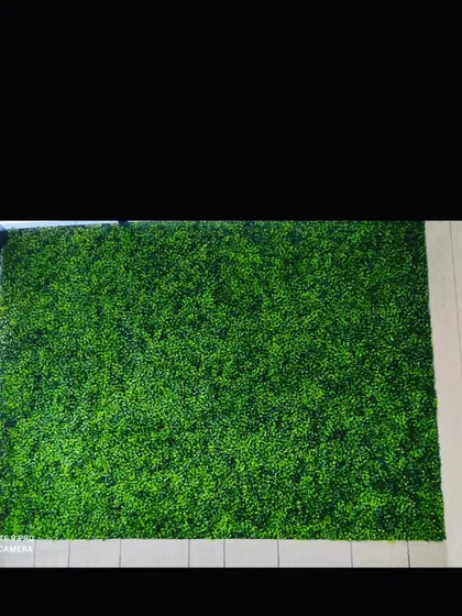 A simple, clean artificial grass wall. This provides a uniform green backdrop that is perfect for event photo booths or as a simple, modern feature in a home or office.