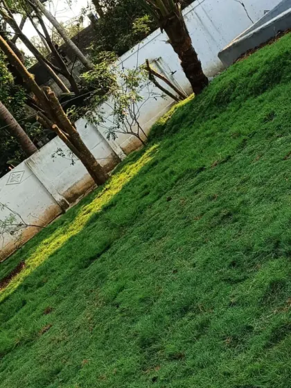 For areas with less sunlight, I install shade-tolerant grass varieties. This ensures you can have a green lawn even in trickier parts of your garden.