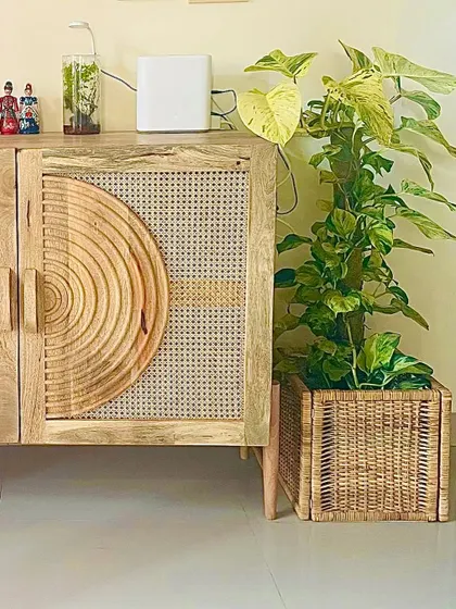 A closer look at the pothos next to a beautiful cane and wood cabinet. The natural textures of the basket and furniture work together to create a warm, bohemian vibe.